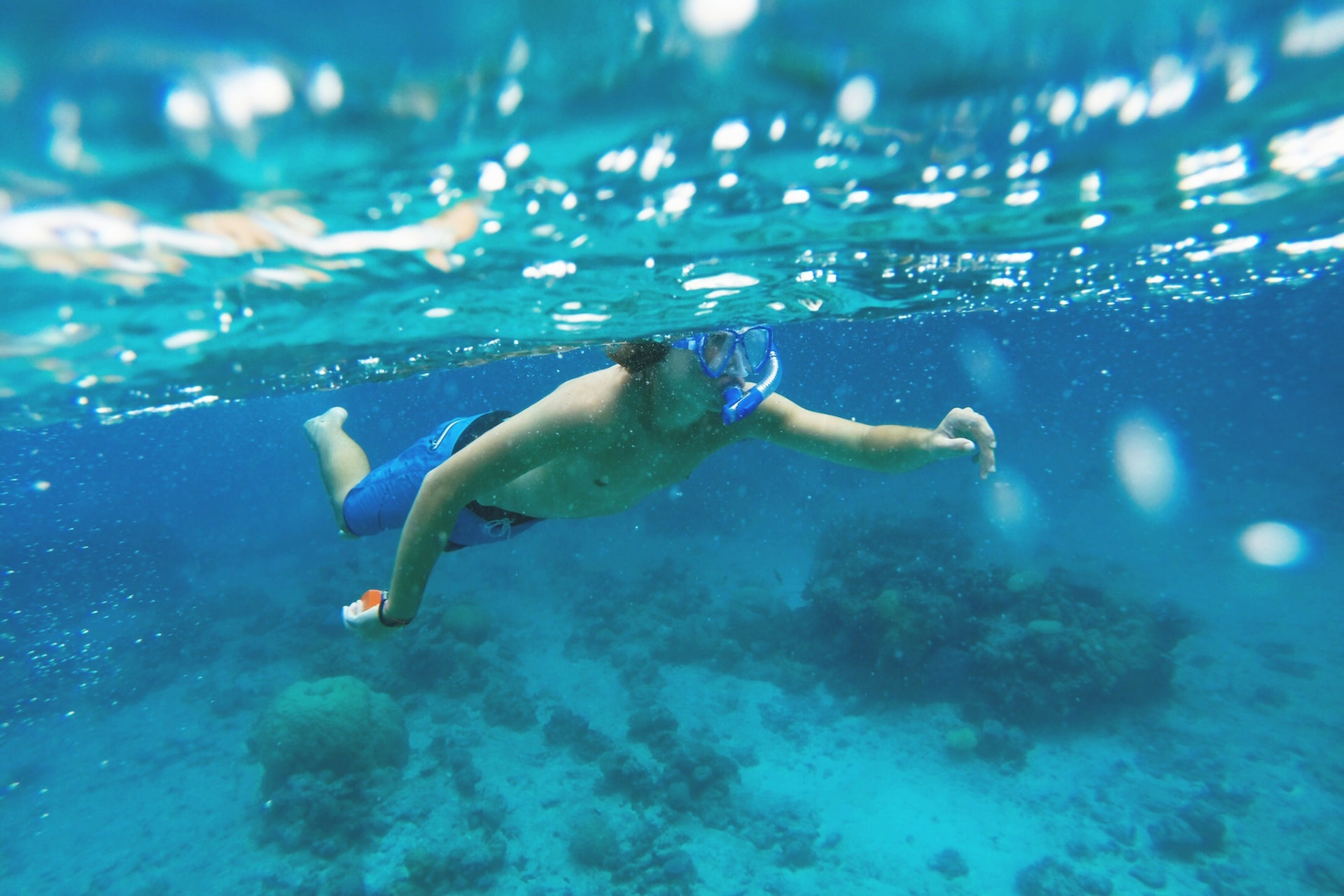 person snorkeling in the ocean