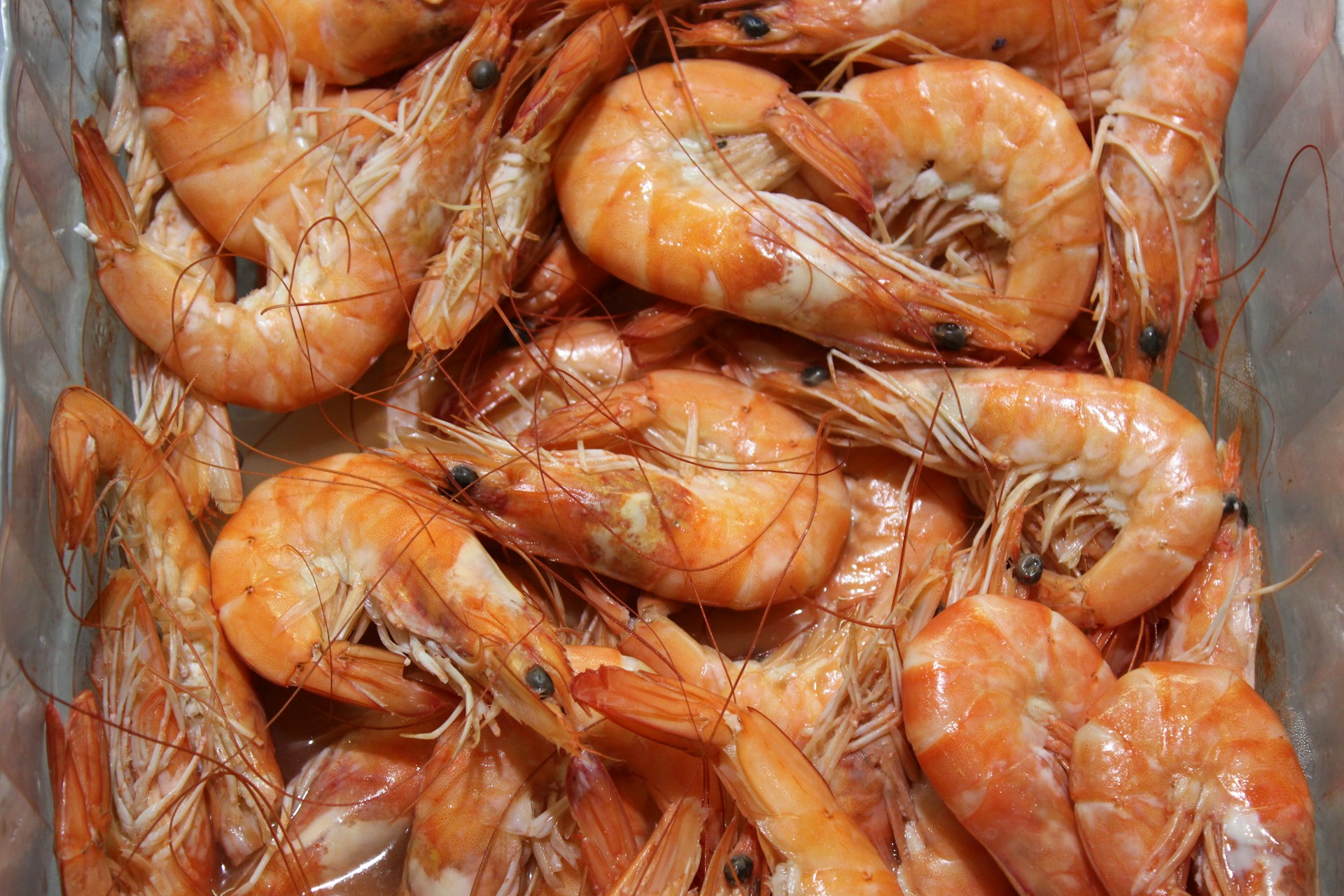 A view of cooked shrimp