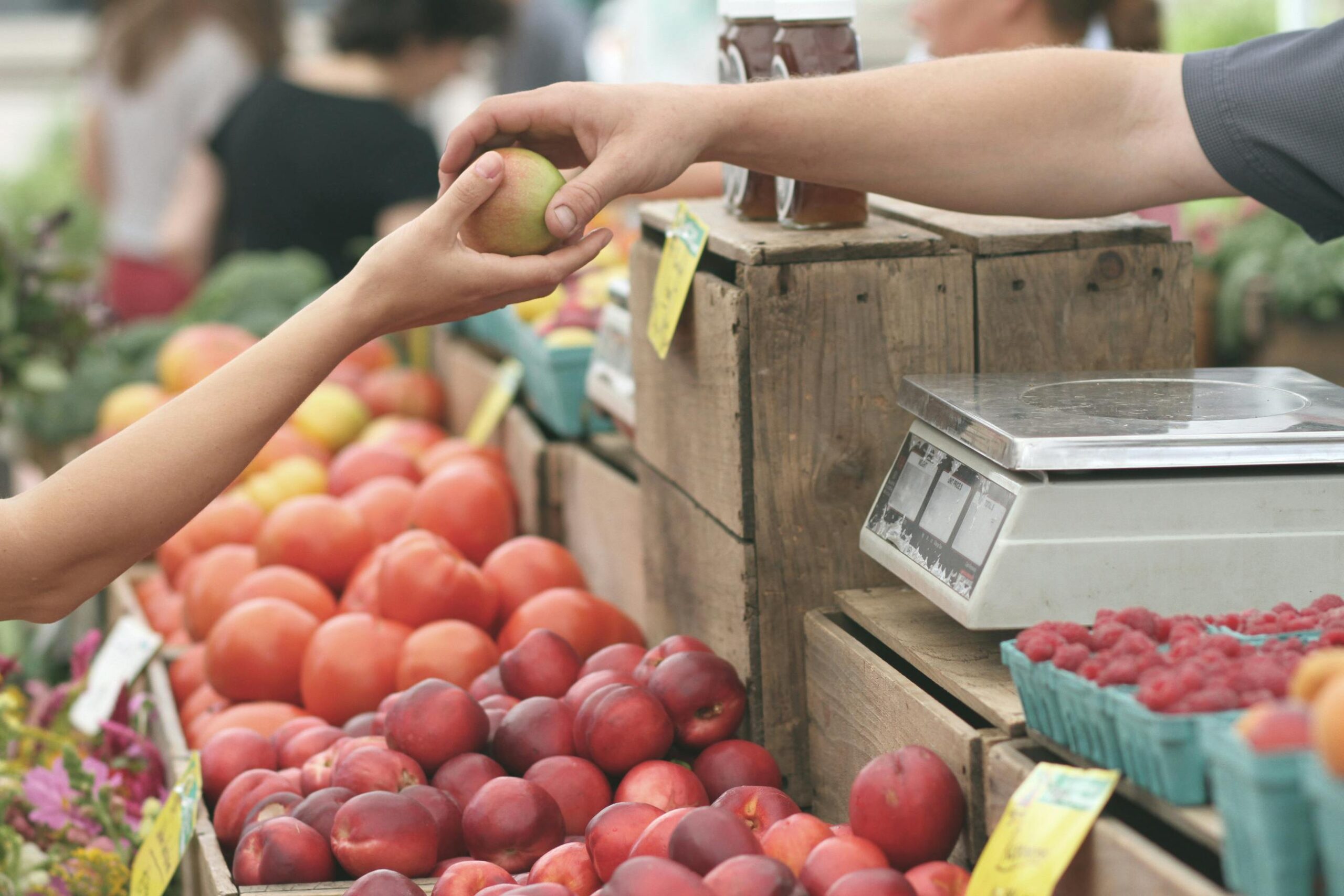  Farmer's Market during April Events in Port Aransas