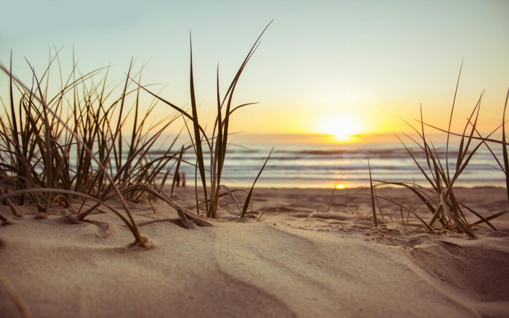 A sunset on the beach