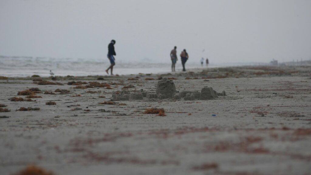 Port Aransas beach