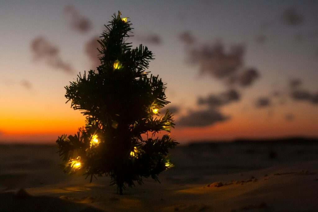 A beach with a Christmas tree